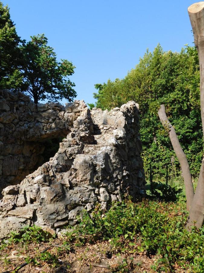 Appartamento Con Piscina Immersa Nel Verde Cascina Εξωτερικό φωτογραφία