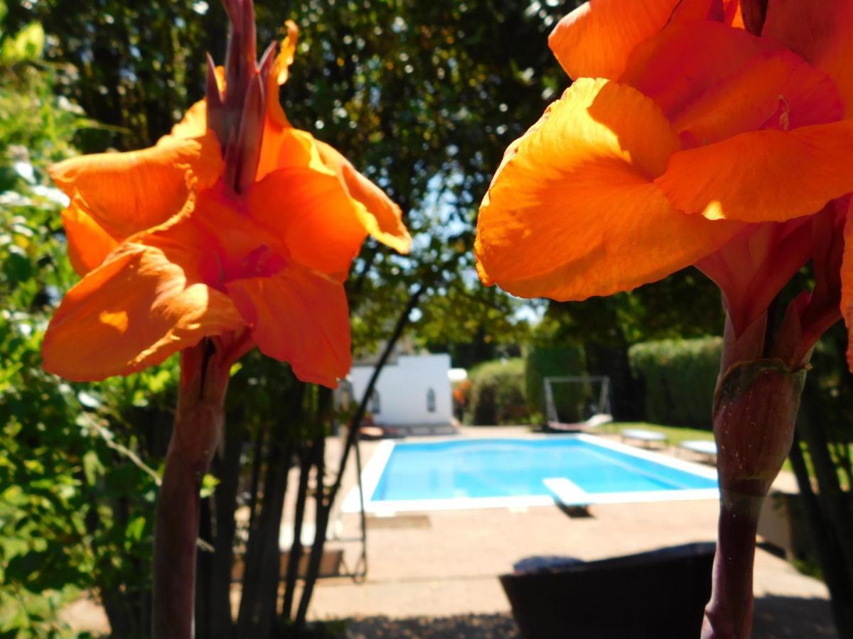 Appartamento Con Piscina Immersa Nel Verde Cascina Εξωτερικό φωτογραφία
