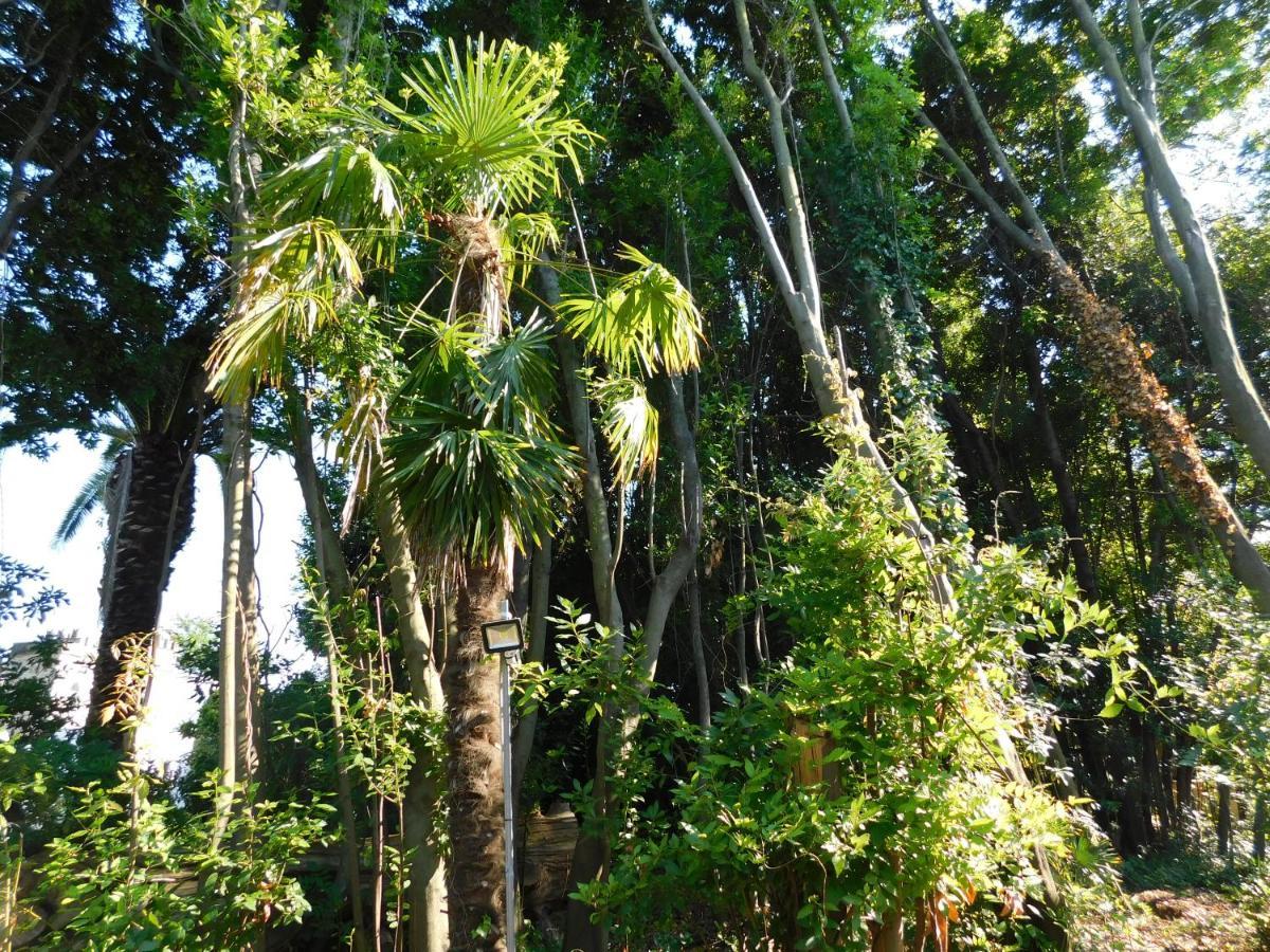 Appartamento Con Piscina Immersa Nel Verde Cascina Εξωτερικό φωτογραφία